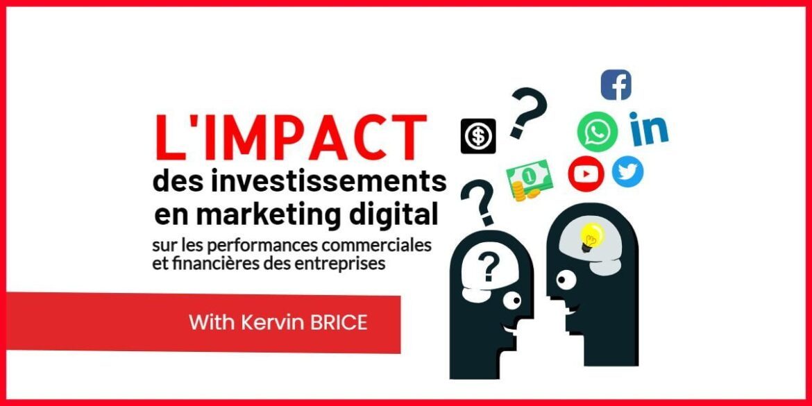 L’impact des investissements en marketing digital sur les performances commerciales et financières des entreprises (2)