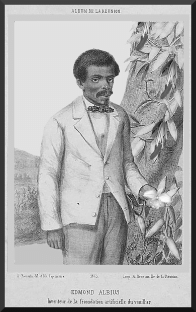 Portrait d'Edmond Albius devant des lianes de vanille 